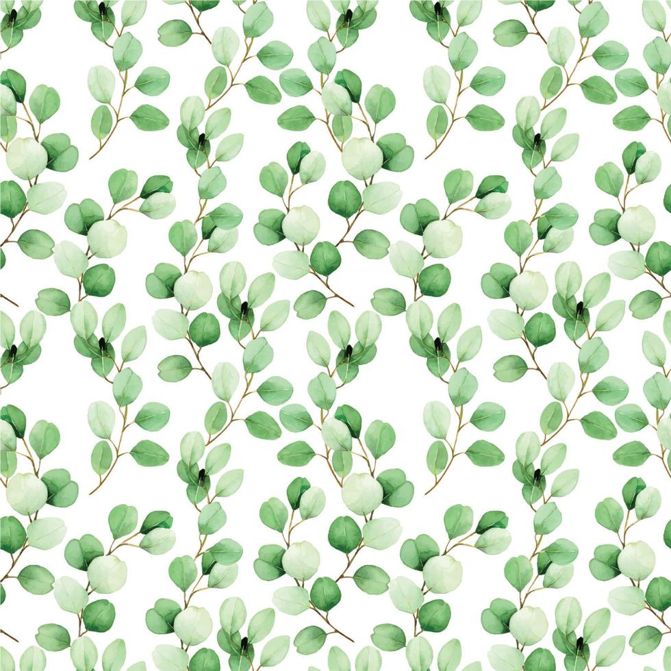 Aquarell Musterdesign mit Eukalyptusblättern auf weißem Hintergrund. Vintage-Druck für Stoff, Tapete. tropische grüne Blätter, botanisches Muster vektor