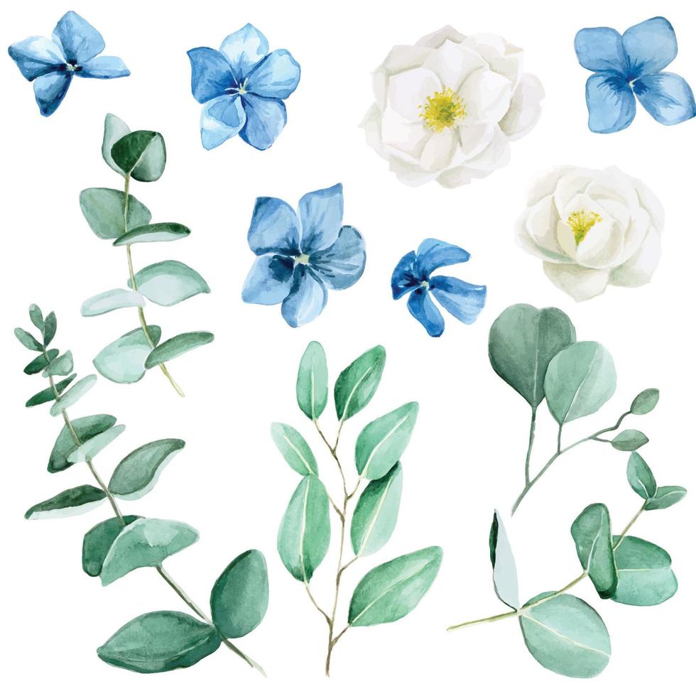 seamless mönster med akvarell vita nypon blommor. blå hortensiablommor och eukalyptusblad. vintage mönster med blommor och blad på en vit bakgrund vektor