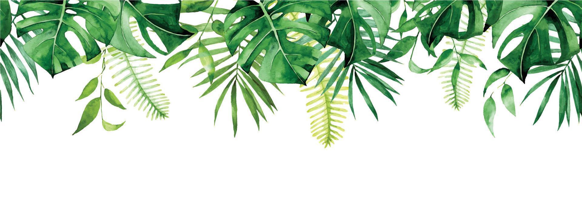 nahtlose aquarellgrenze, banner, rahmen mit tropischen blättern. grüne Blätter von Monstera, Palme, Farn isoliert auf weißem Hintergrund. nahtlose Druckcliparts vektor