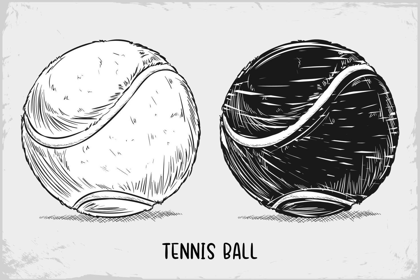 handgezeichnete Tennisballskizze einzeln auf weißem Hintergrund, detaillierte Vintage-Radierungszeichnung vektor