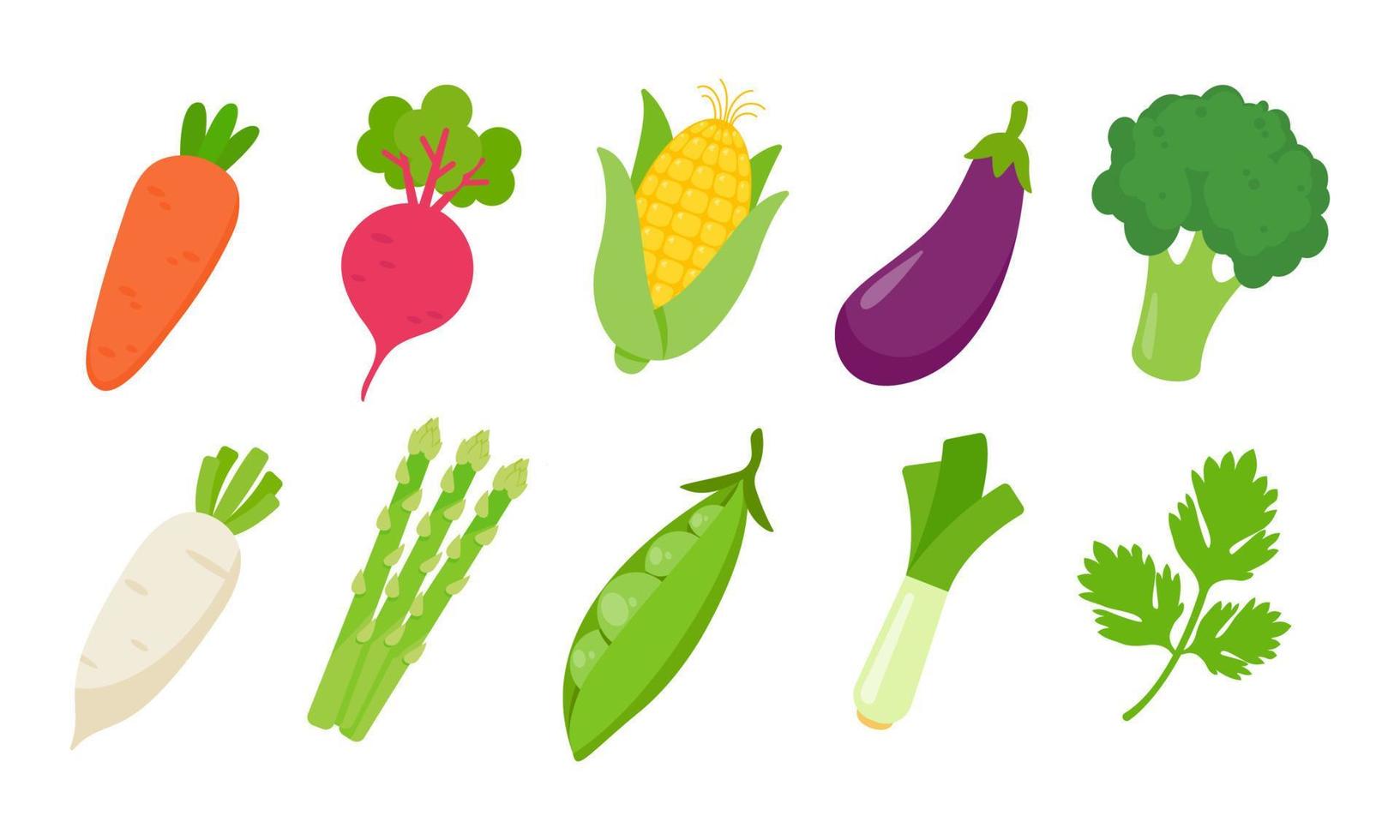diverse färgglada grönsakssläckare för matlagning i köket vektor