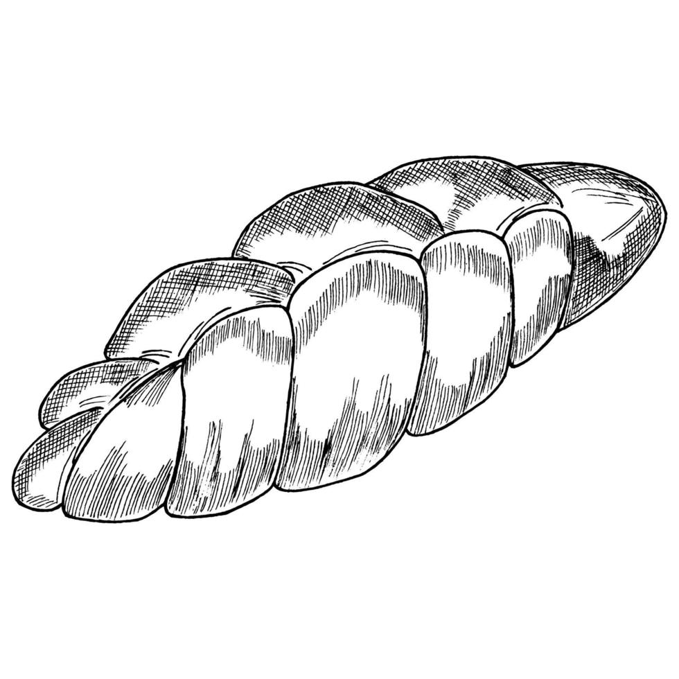 Challah-Brot umreißt handgezeichnetes Symbol für Bäckerei oder Lebensmitteldesign. Vektor-Illustration. vektor