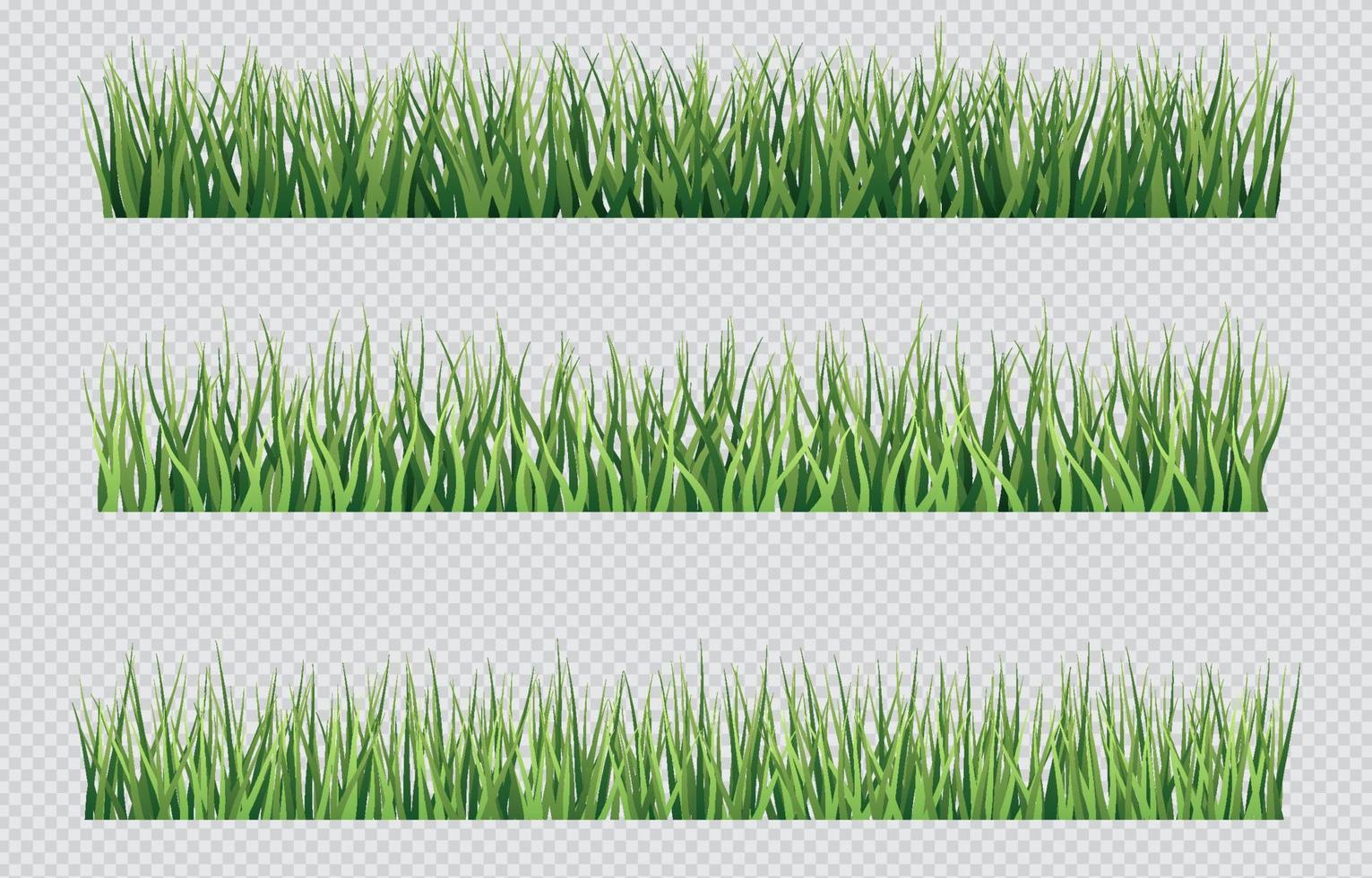 Gras mit transparentem Hintergrund vektor