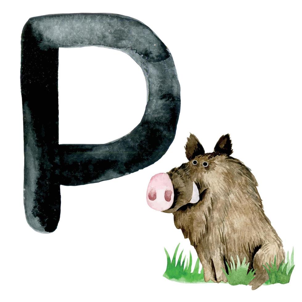 Aquarellzeichnung. Karte mit Buchstaben p. Alphabet für Kinder mit Tieren. süße Zeichnung von Schwein, Wildschwein vektor