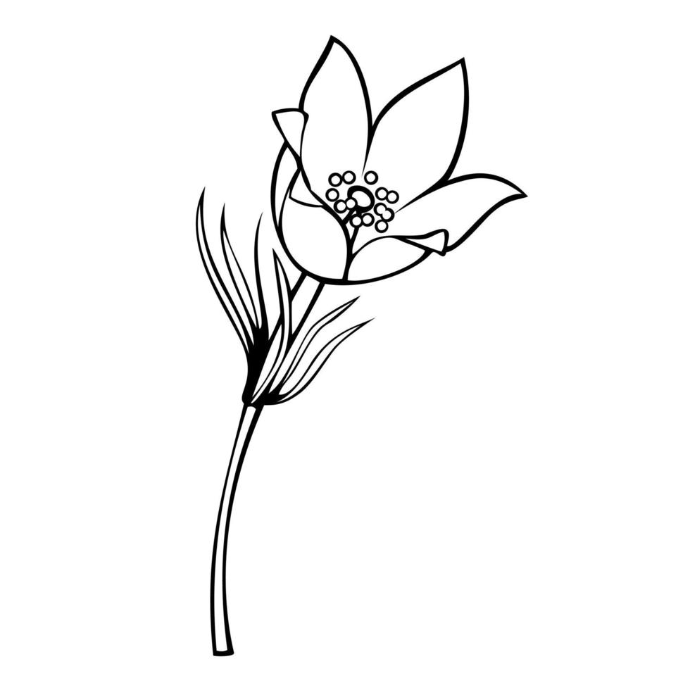 monokrom bild, vårskogsblommor, vektorillustration på en vit bakgrund vektor