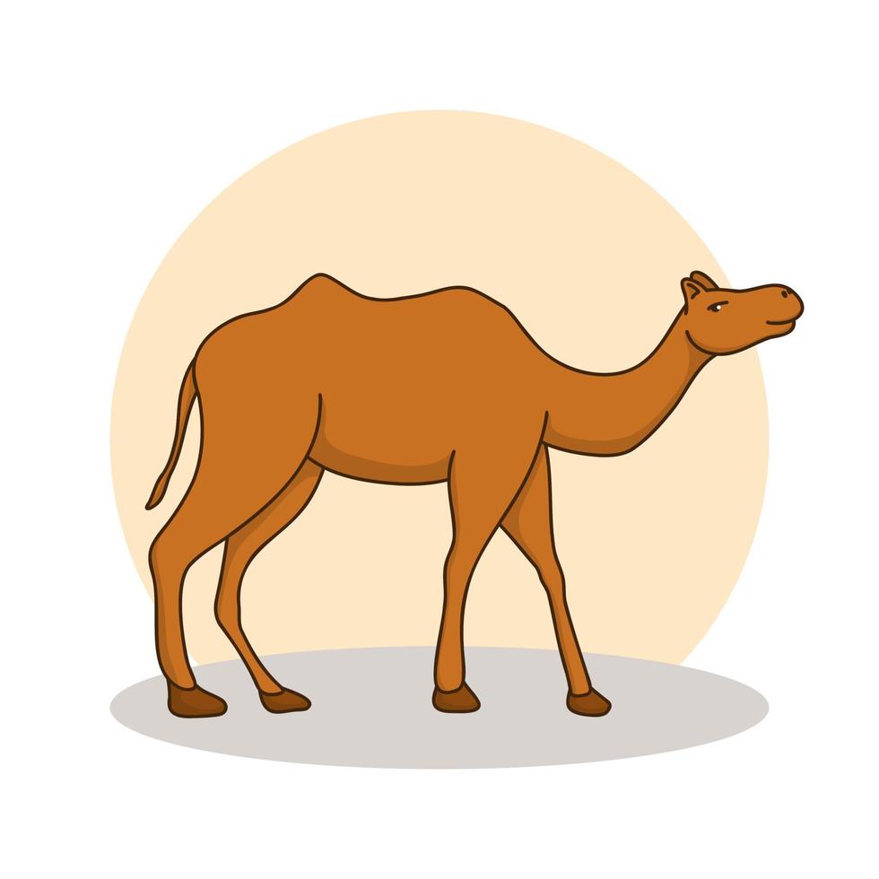 kamel ikon tecknad. djur öken karaktär symbol vektor