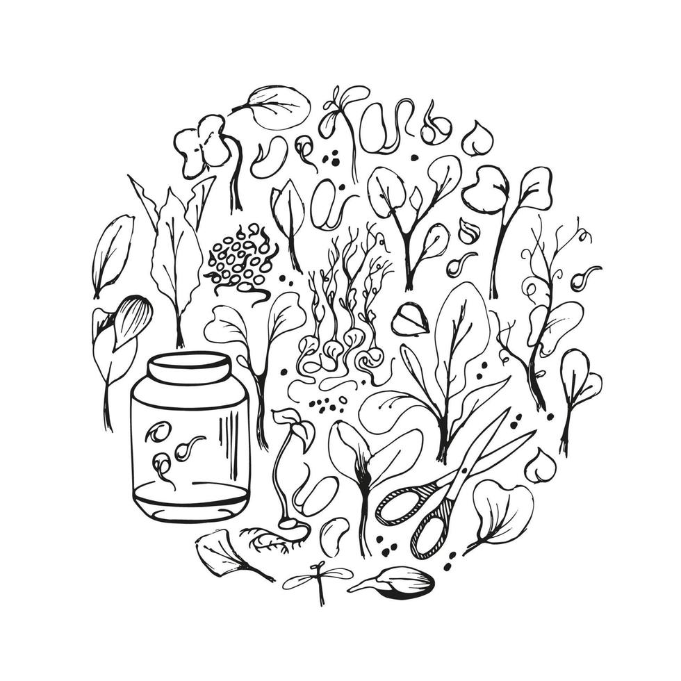 uppsättning av microgreens doodle illustration. vektor handritad skiss bakgrund