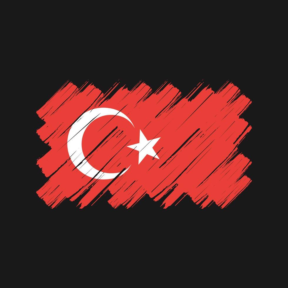 Bürste mit türkischer Flagge. Nationalflagge vektor