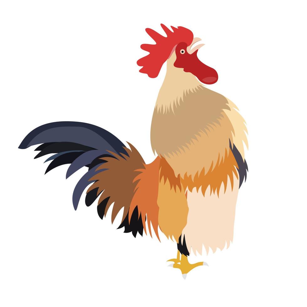 Hühnerhahn kräht auf weißem Hintergrund, Vektorillustration vektor