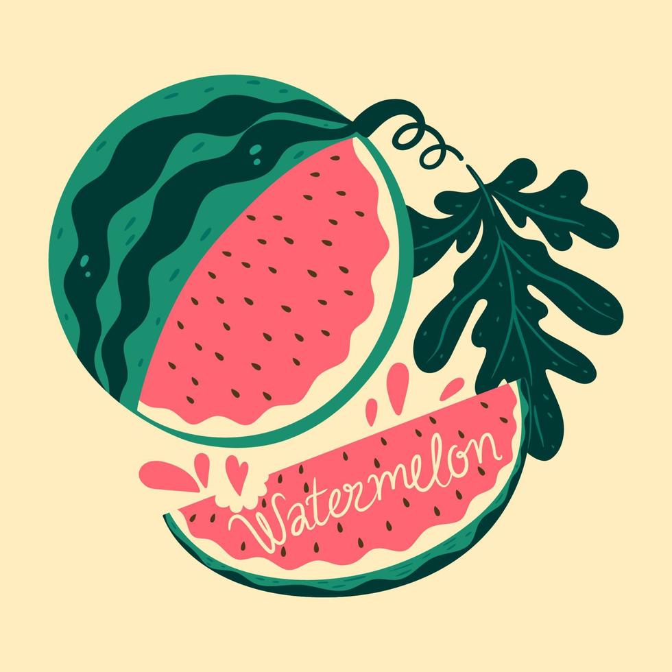 vattenmelonhalva, vattenmelonskiva och blad. vektorgrafik. vektor