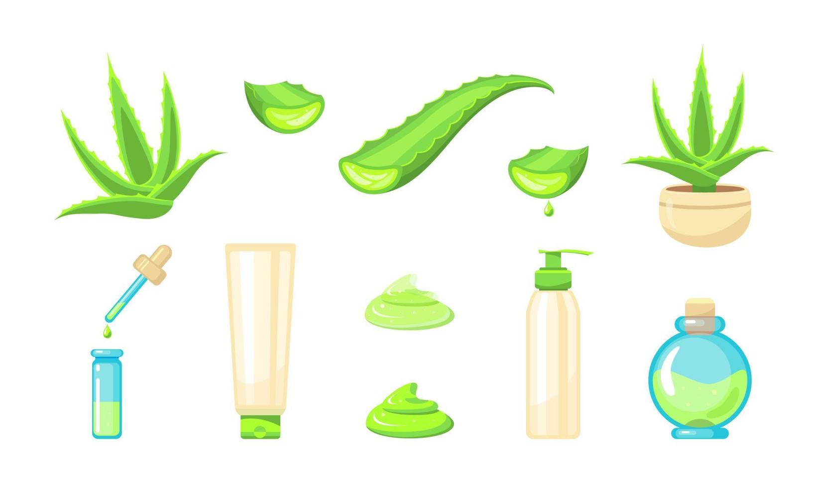 Aloe-Vera-Pflanze und Naturkosmetik auf weißem Hintergrund. für die Gestaltung von Werbung, Verpackungen. Vektorvorratillustration. vektor