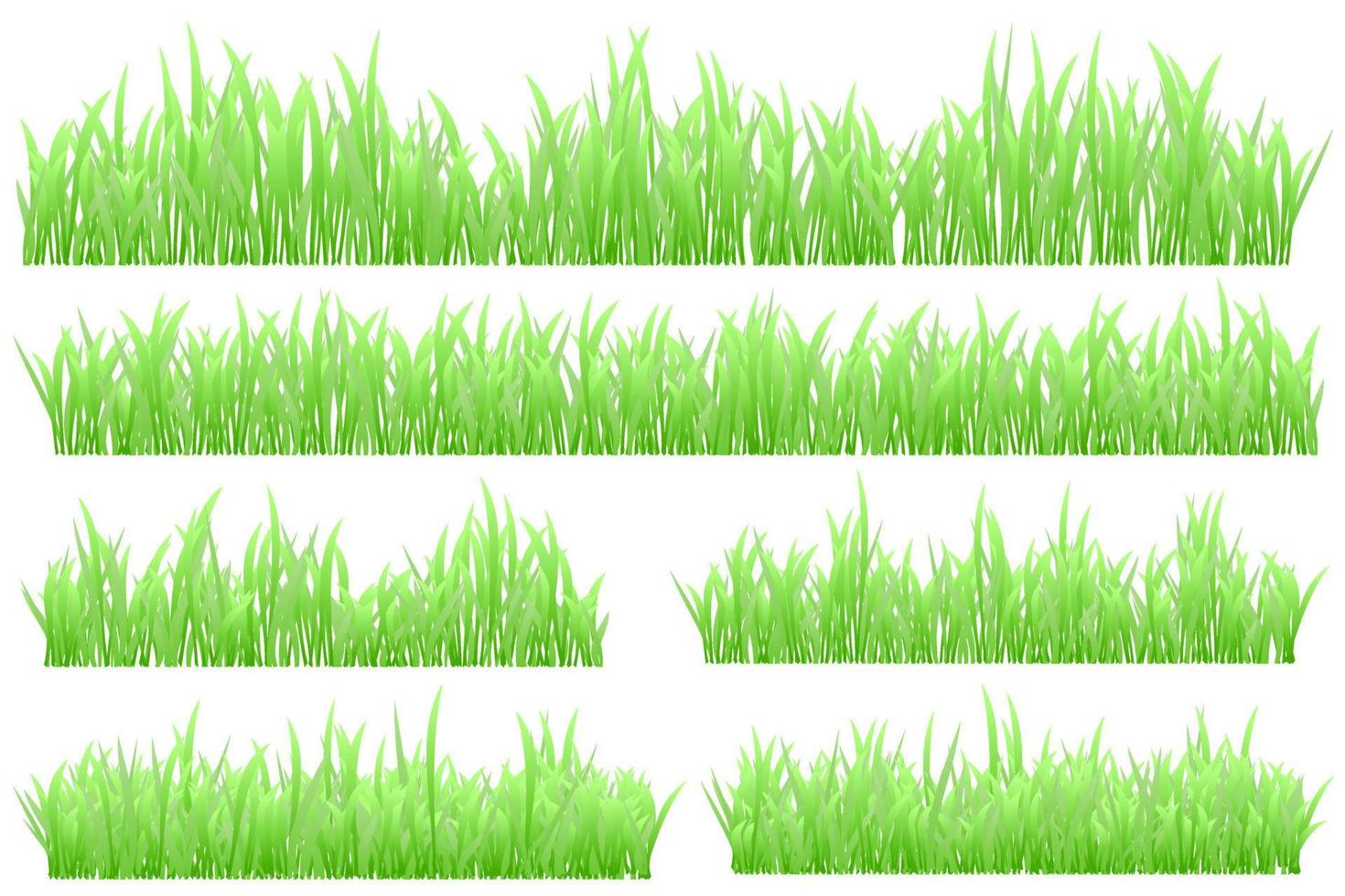 grönt gräs. ängsgräs. realistisk gräs vektor