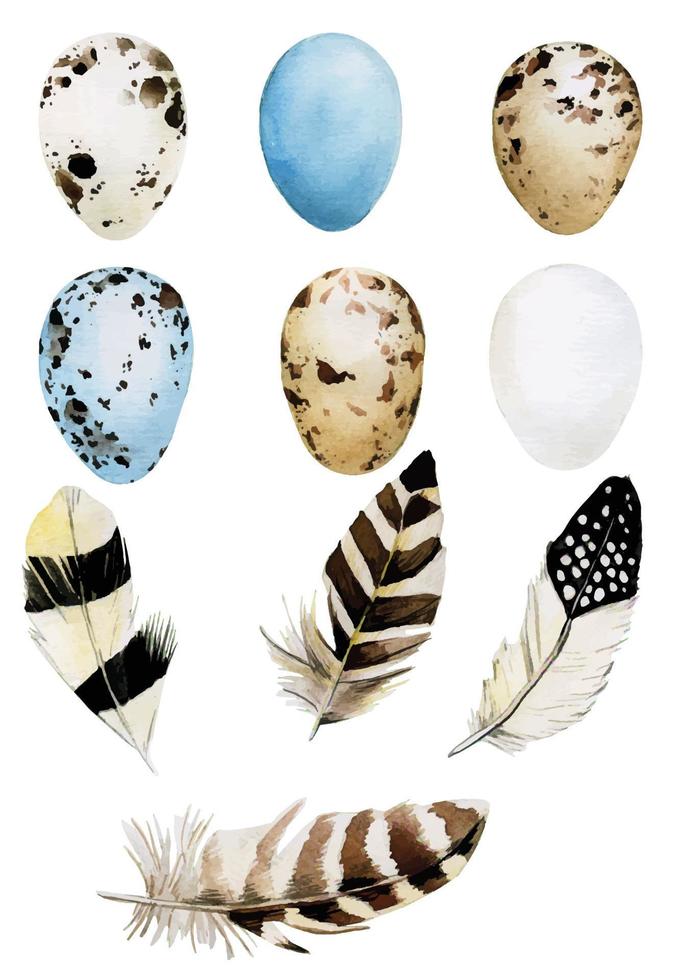 akvarell påsk uppsättning ägg och fågelfjädrar. påsk element isolerad på vit bakgrund. söta färgade fågelägg av vit, blå och brun färg. vintage design för semestern vektor