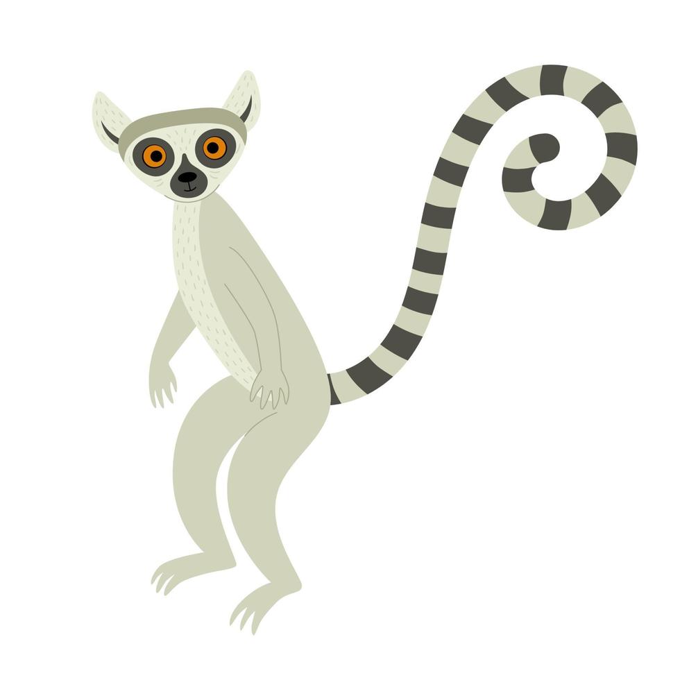 exotischer süßer Lemur. Tiere aus Madagaskar und Afrika. Vektorillustration für Kinder im flachen Stil vektor