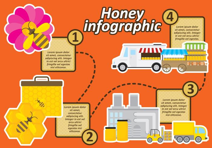 Honung Infographic vektor