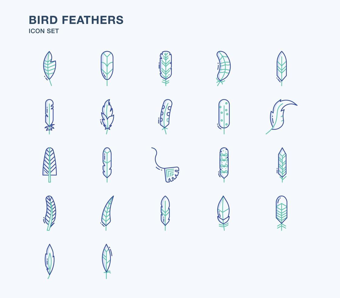 fågel fjädrar kontur färgade ikoner vektor