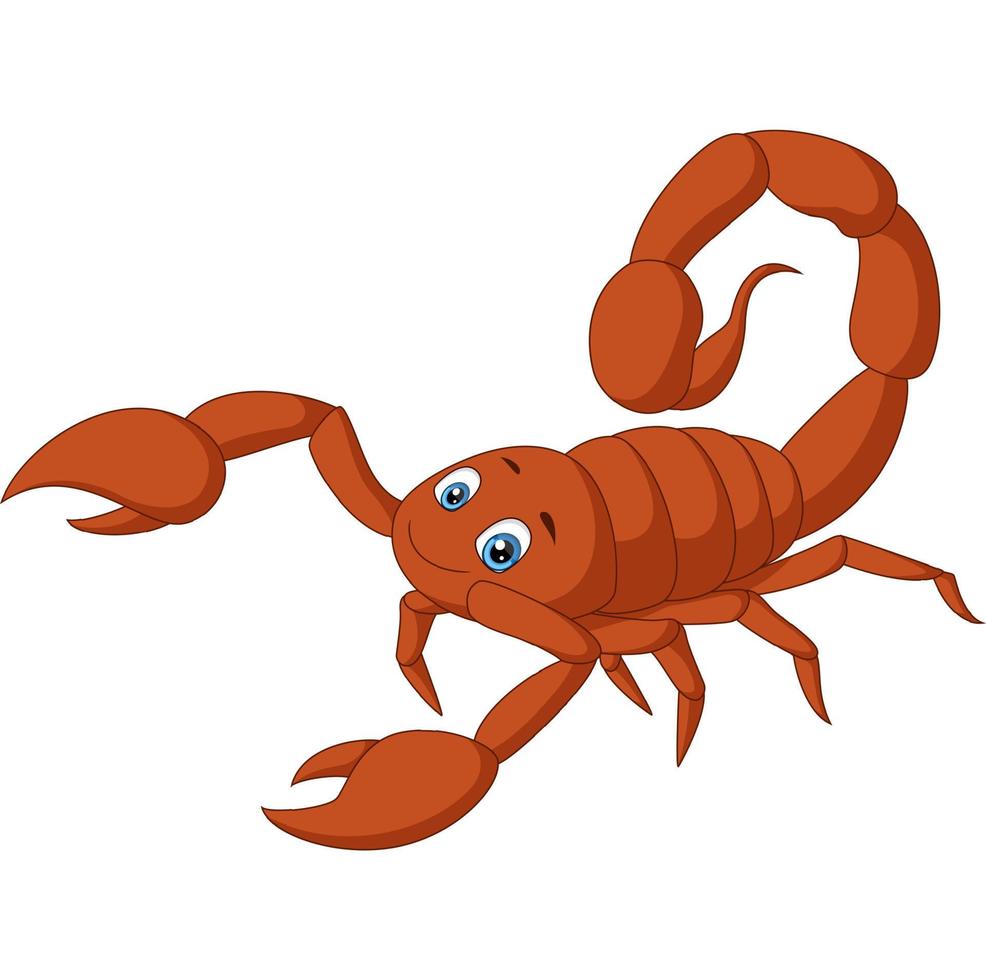 niedlicher skorpion-cartoon auf weißem hintergrund vektor