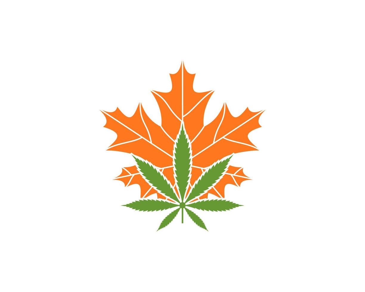 lönn och cannabis blad vektor logotyp