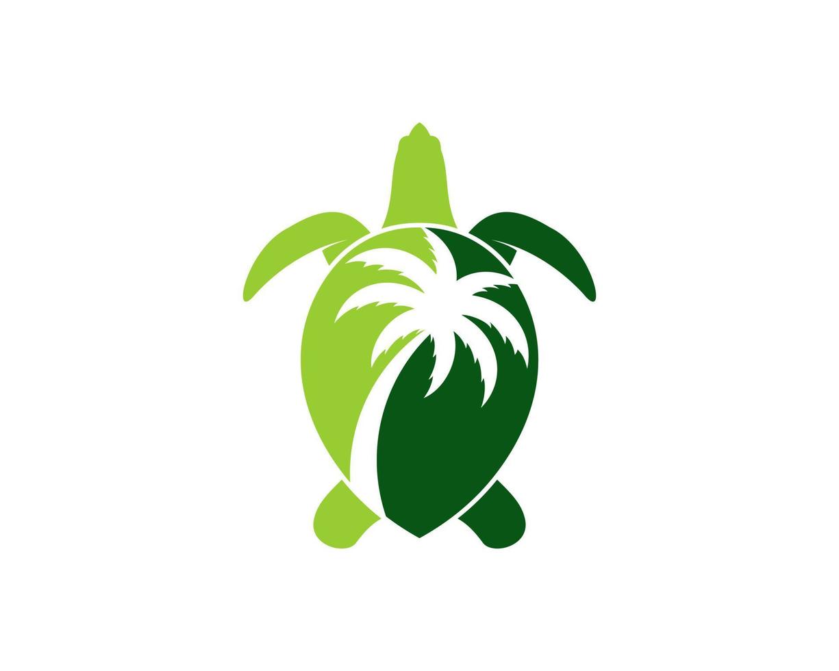 grön sköldpadda med palm inuti vektor