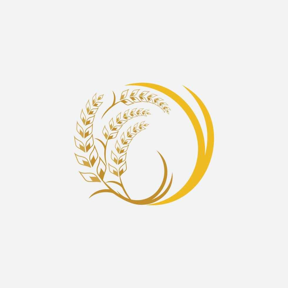 Landwirtschaft Weizen Logo Vektor