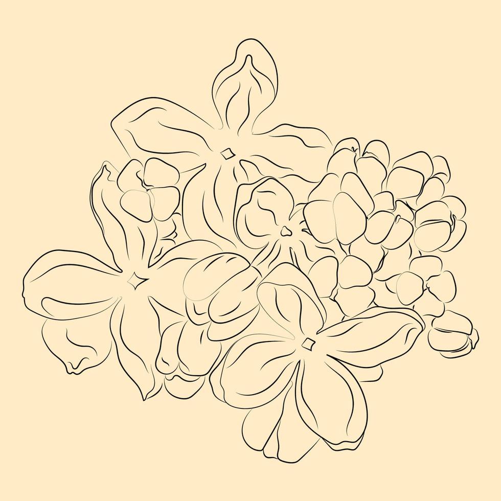 Blume im Strichkunststil. Reihe von Blumen. minimalistische Konturzeichnung. Strichzeichnungen vektor