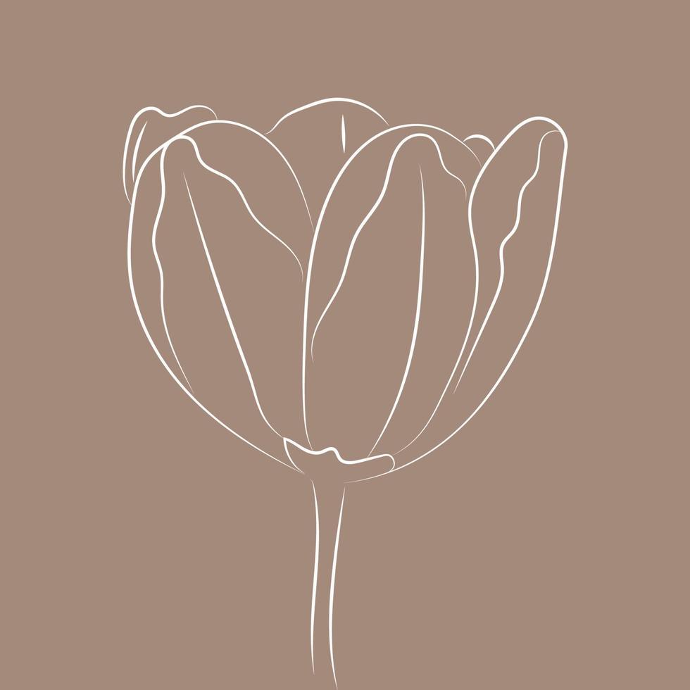 Strichzeichnungen Strichzeichnungen Blume für Dekorationsdesign. abstrakter Vektorhintergrund. einfache Strichzeichnung. florales Musterelement. vektor