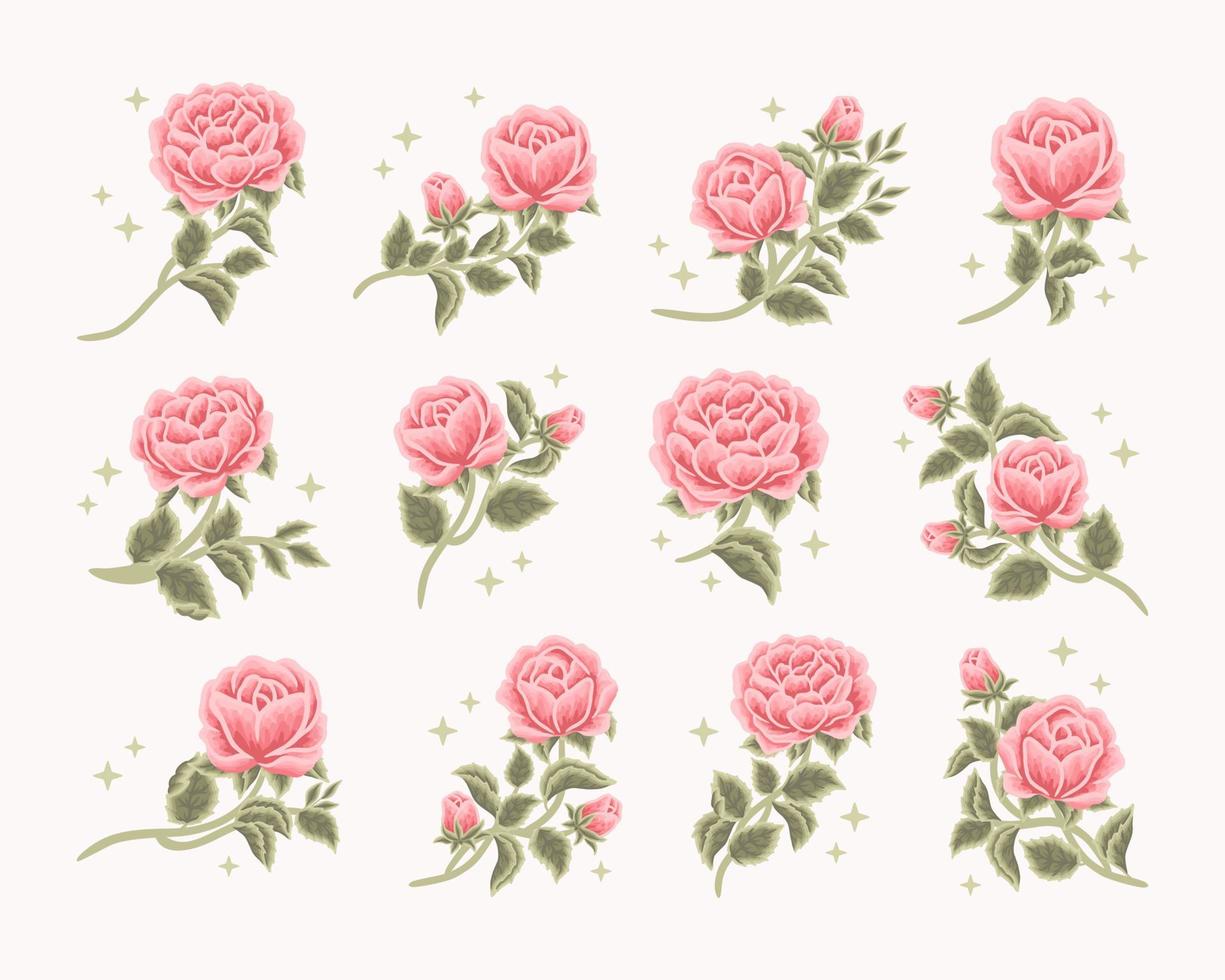 samling av vintage romantisk ros blomknopp feminin logotyp, skönhetsetikett, varumärkeselement vektor