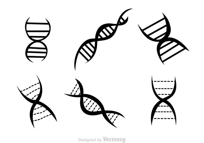 Doppelhelix schwarze Ikonen vektor