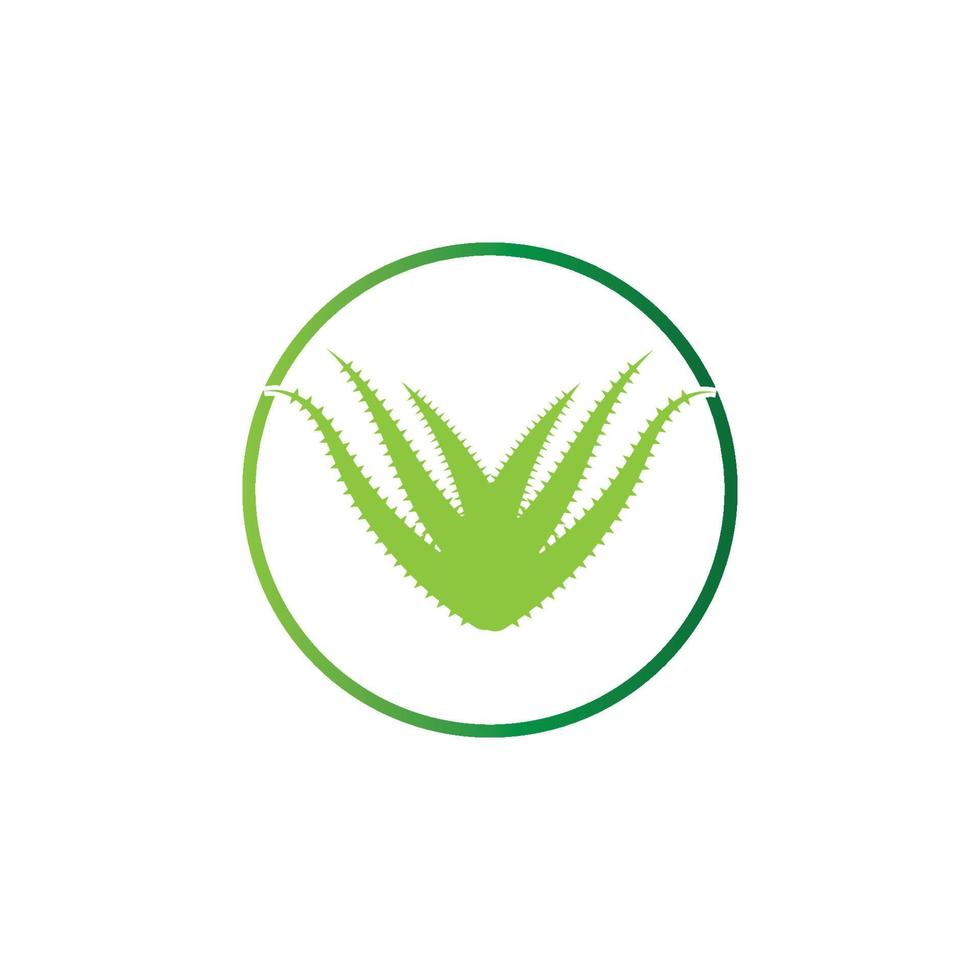 aloe vera logotyp vektor illustration mall