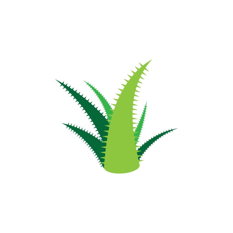 aloe vera logo vektorillustrationsvorlage vektor