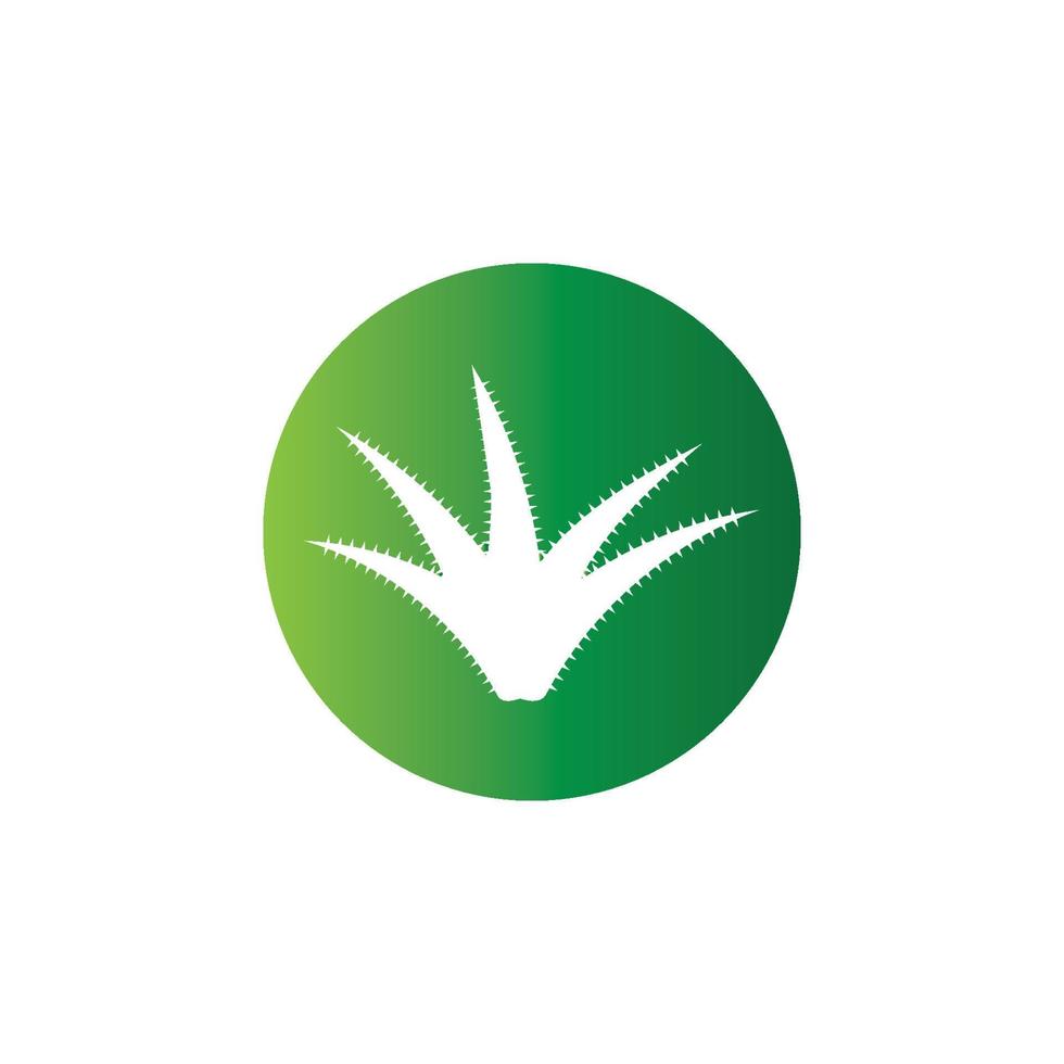 aloe vera logotyp vektor illustration mall