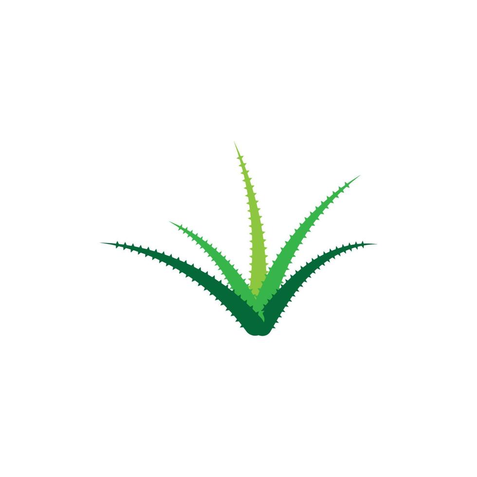 aloe vera logotyp vektor illustration mall