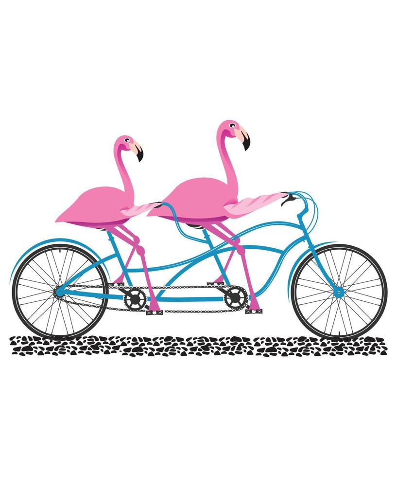 Flamingo Radfahren Vektorgrafiken vektor