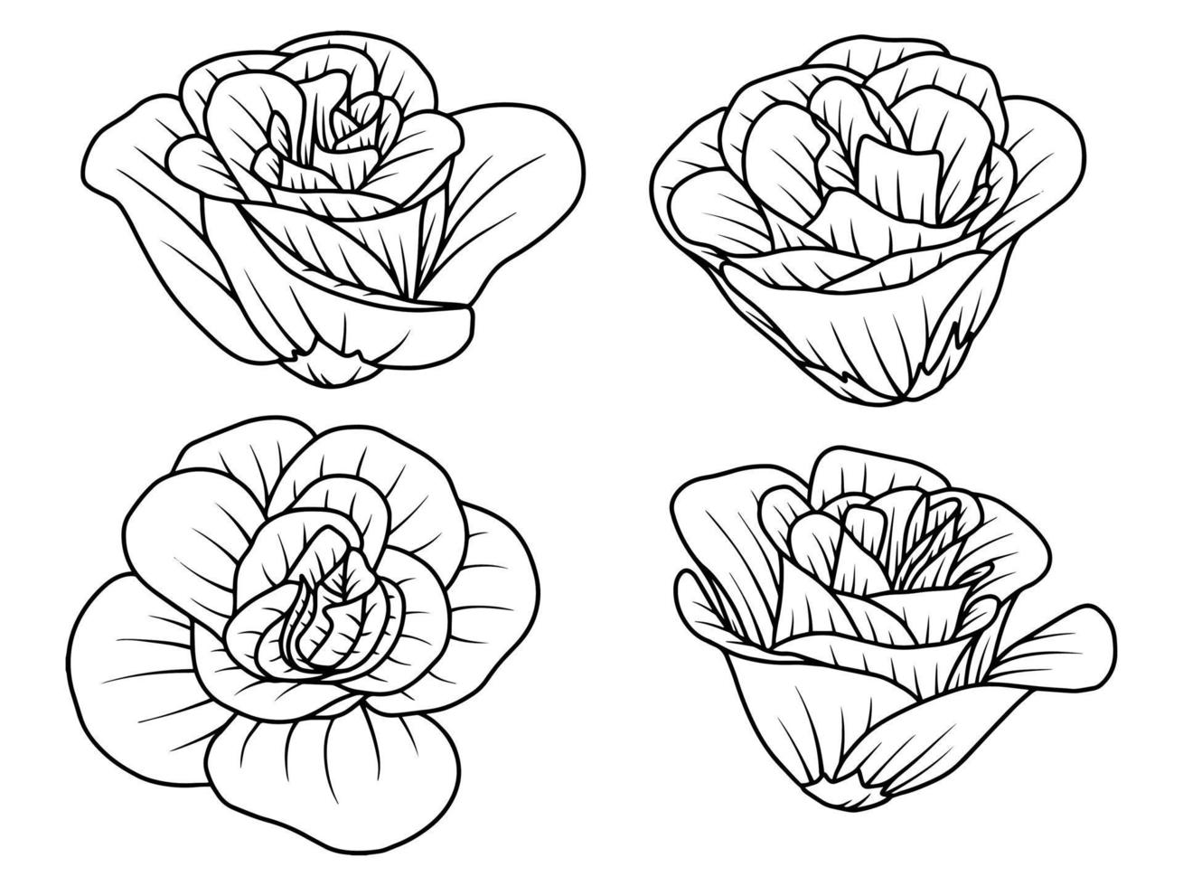 blomma handritad skiss linjekonst illustration vektor