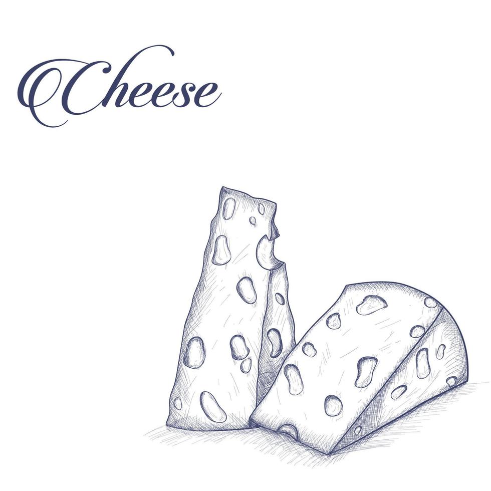 Käse zu Wein skizzieren vektor