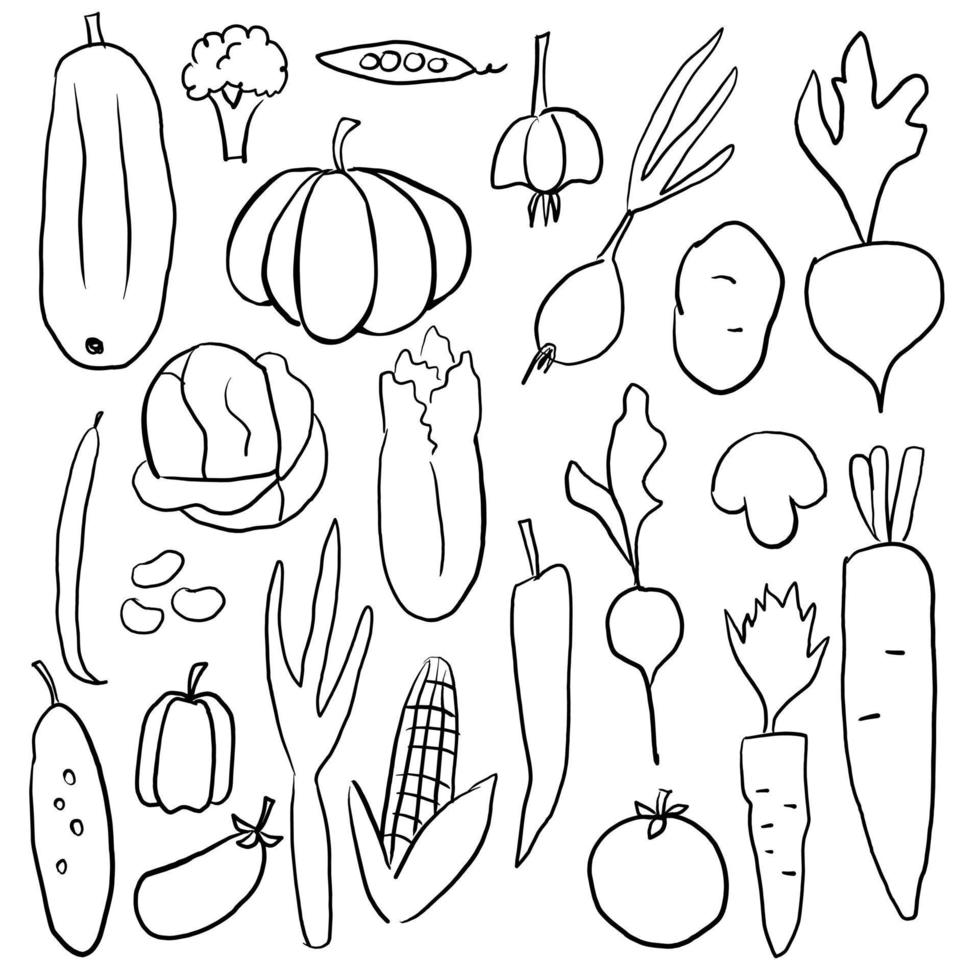 grönsaker handritad clip art illustration set vektor