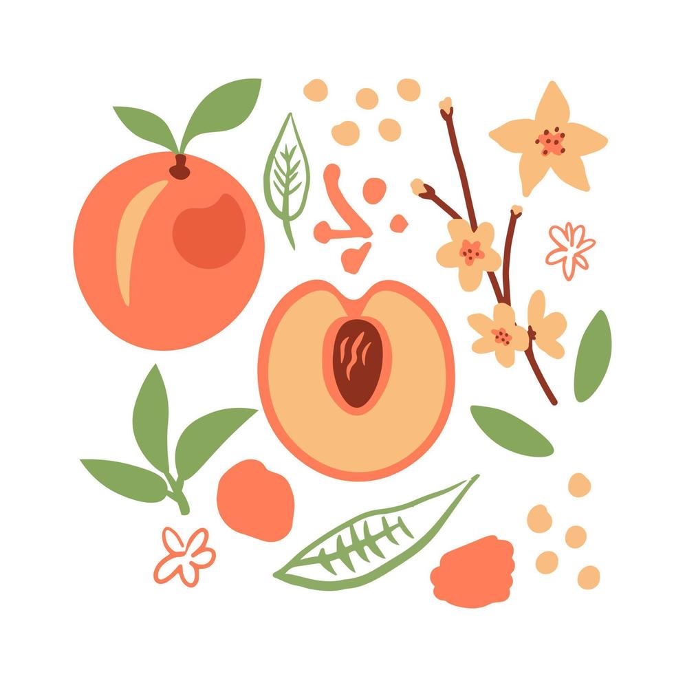 persika med doodles ClipArt vektor