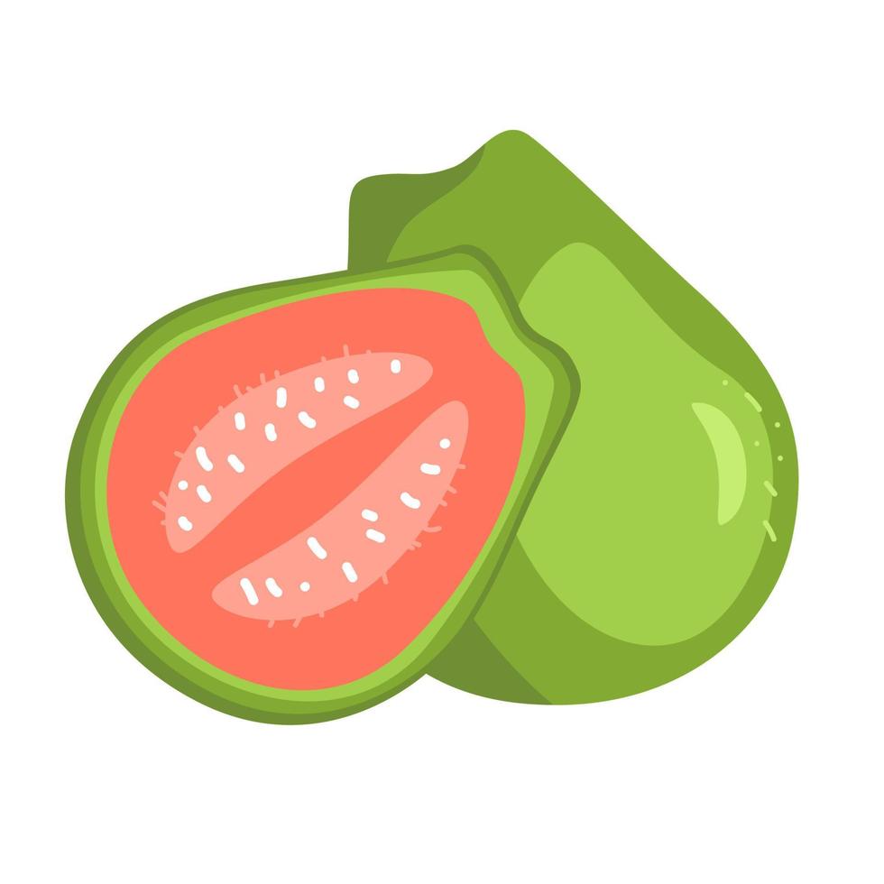handgezeichnete Guave, ganz und in Scheiben geschnitten. Sommer tropische Früchte und halbe, gesunde Vitamin-C-Quelle. Vektorillustrationsikone lokalisiert auf Weiß. vektor