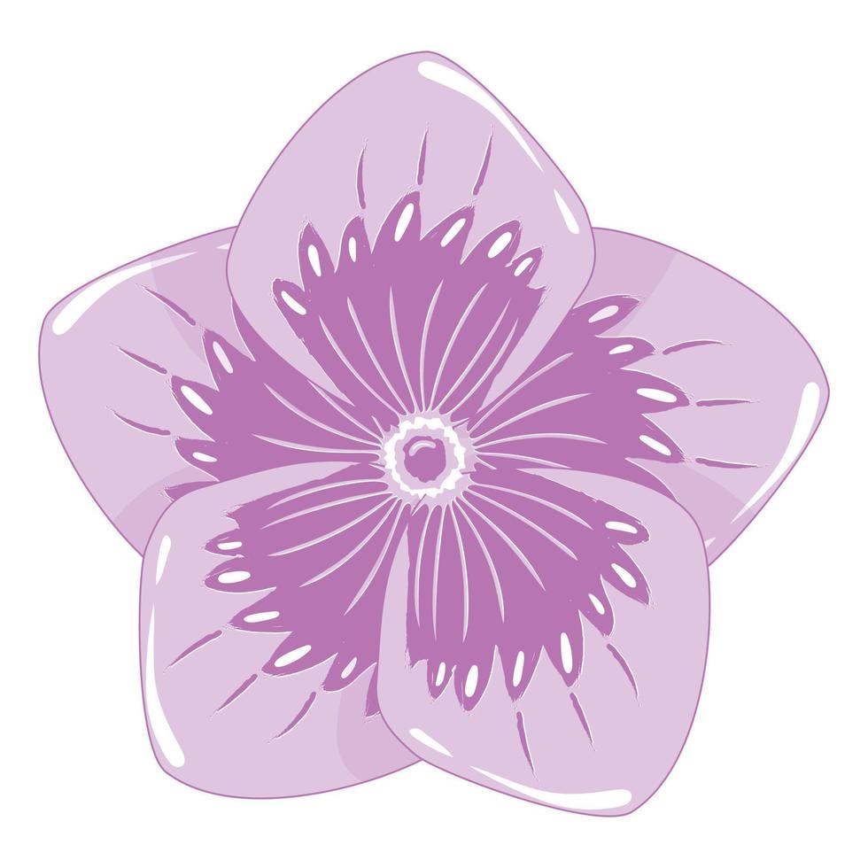 einfache lila Phlox-Blume im flachen Stil isoliert auf weißem Hintergrund vektor