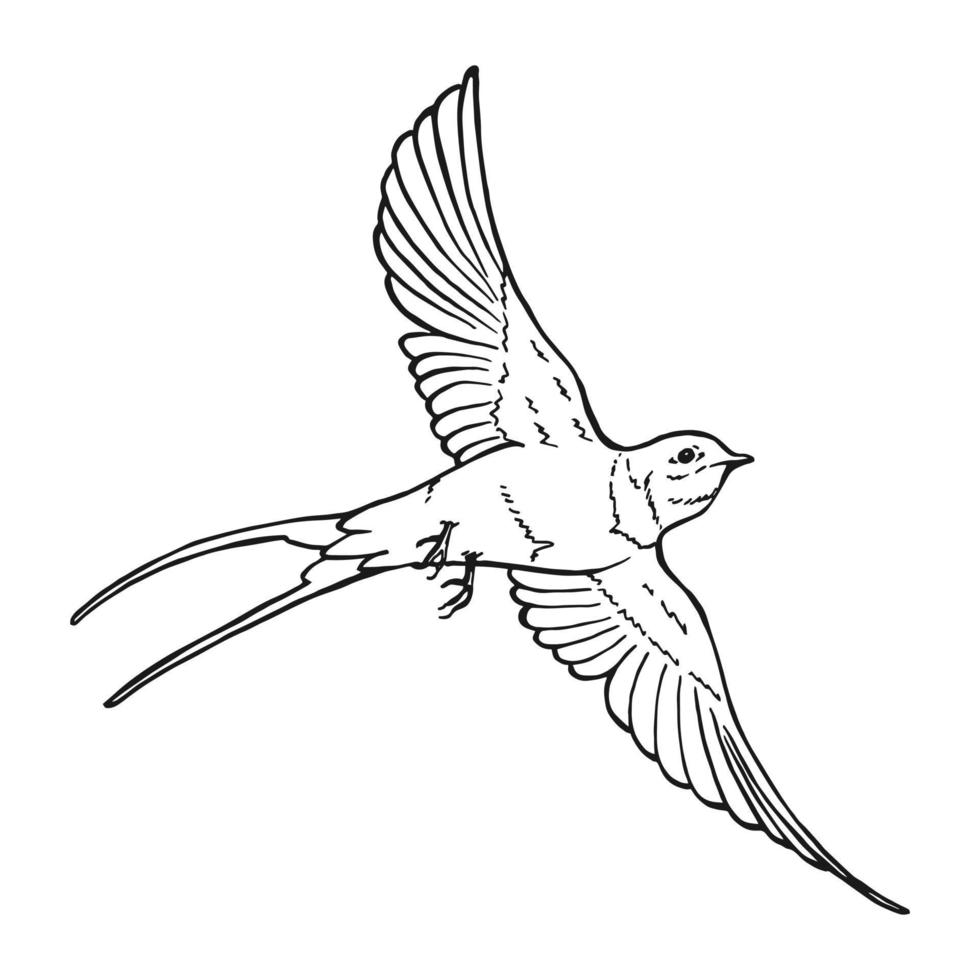 fliegende Schwalbe. handgezeichnete illustration in vektor umgewandelt.