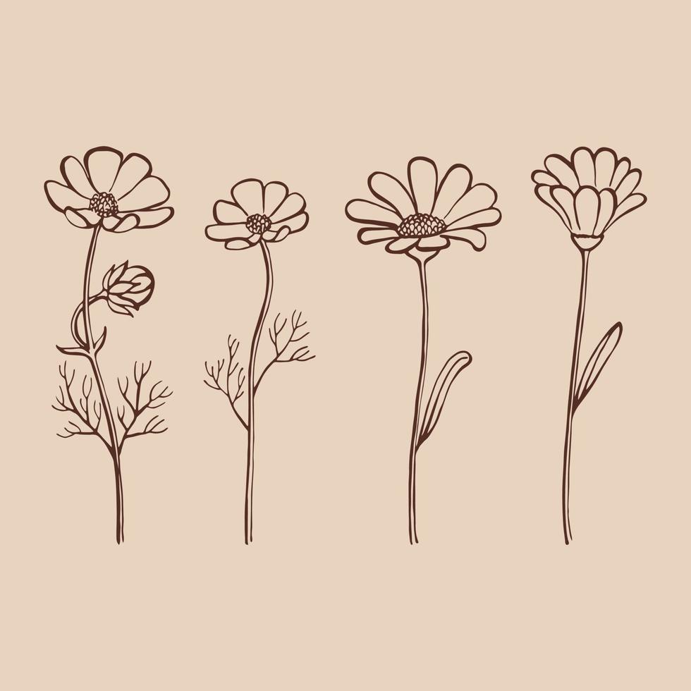 uppsättning örter och vilda blommor. handritade blommiga element. vektor illustration.