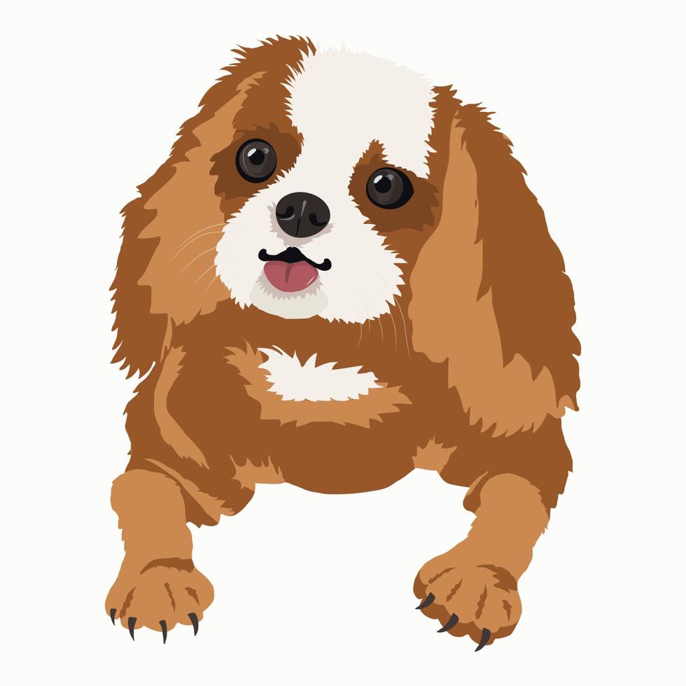 Vektor-Illustration eines Spaniel-Hundes. Der Hund ist auf einem weißen Hintergrund isoliert. vektor