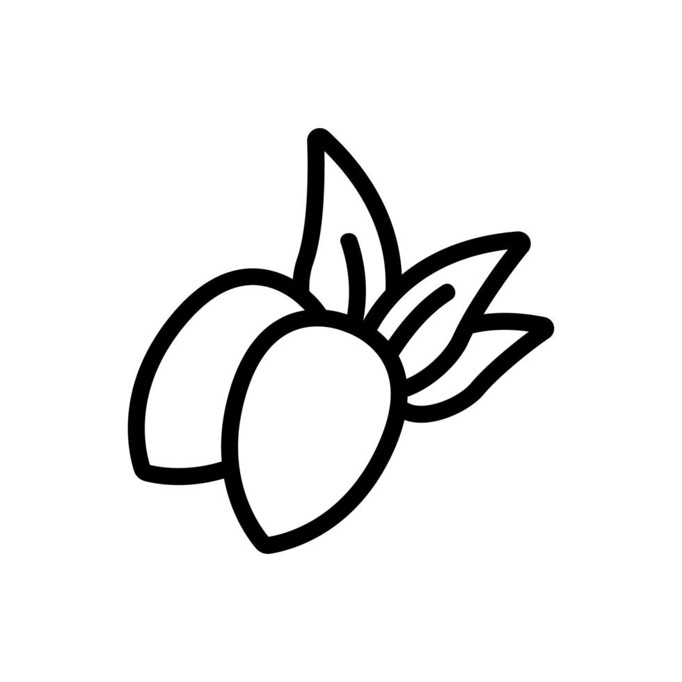 Jojoba-Beeren mit Blättern Symbol Vektor Umriss Illustration