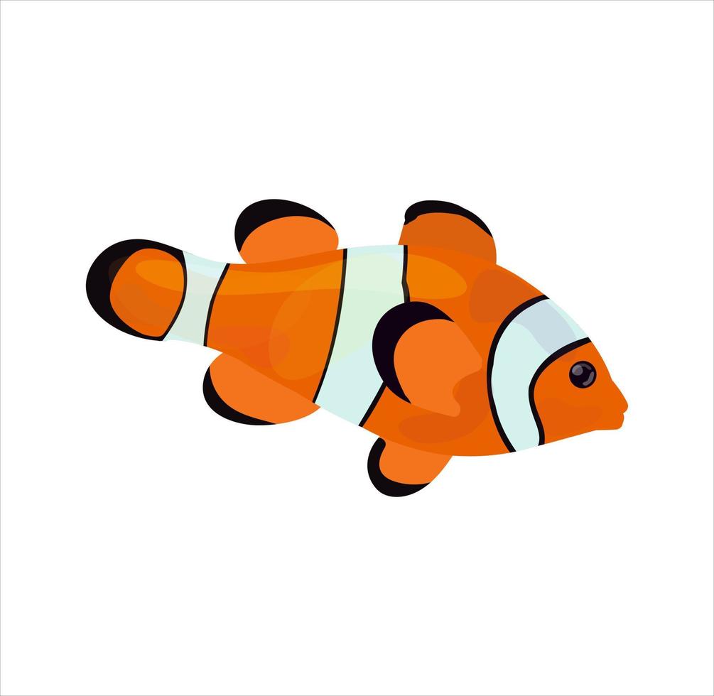 tecknad glad clown fisk på vit bakgrund. vektor illustartion