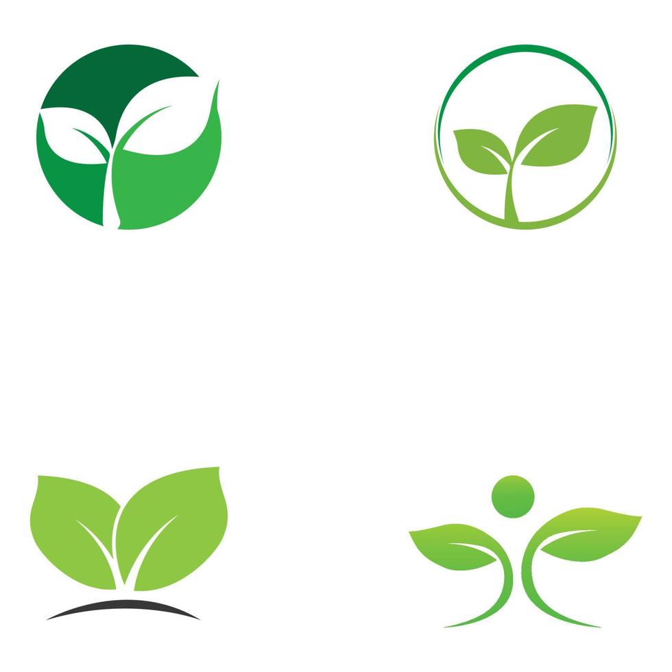 grünes Blatt-Logo. Vektordesign von Gärten, Pflanzen und Natur. vektor