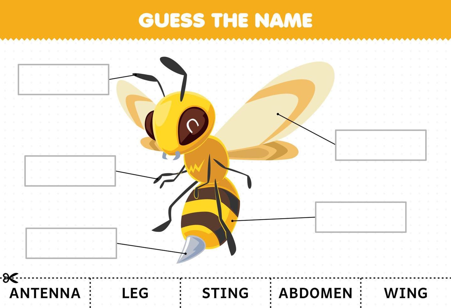 Bildungsspiel für Kinder Erraten Sie den Namen des Arbeitsblatts für niedliche Cartoon-Bienenkörperteile vektor