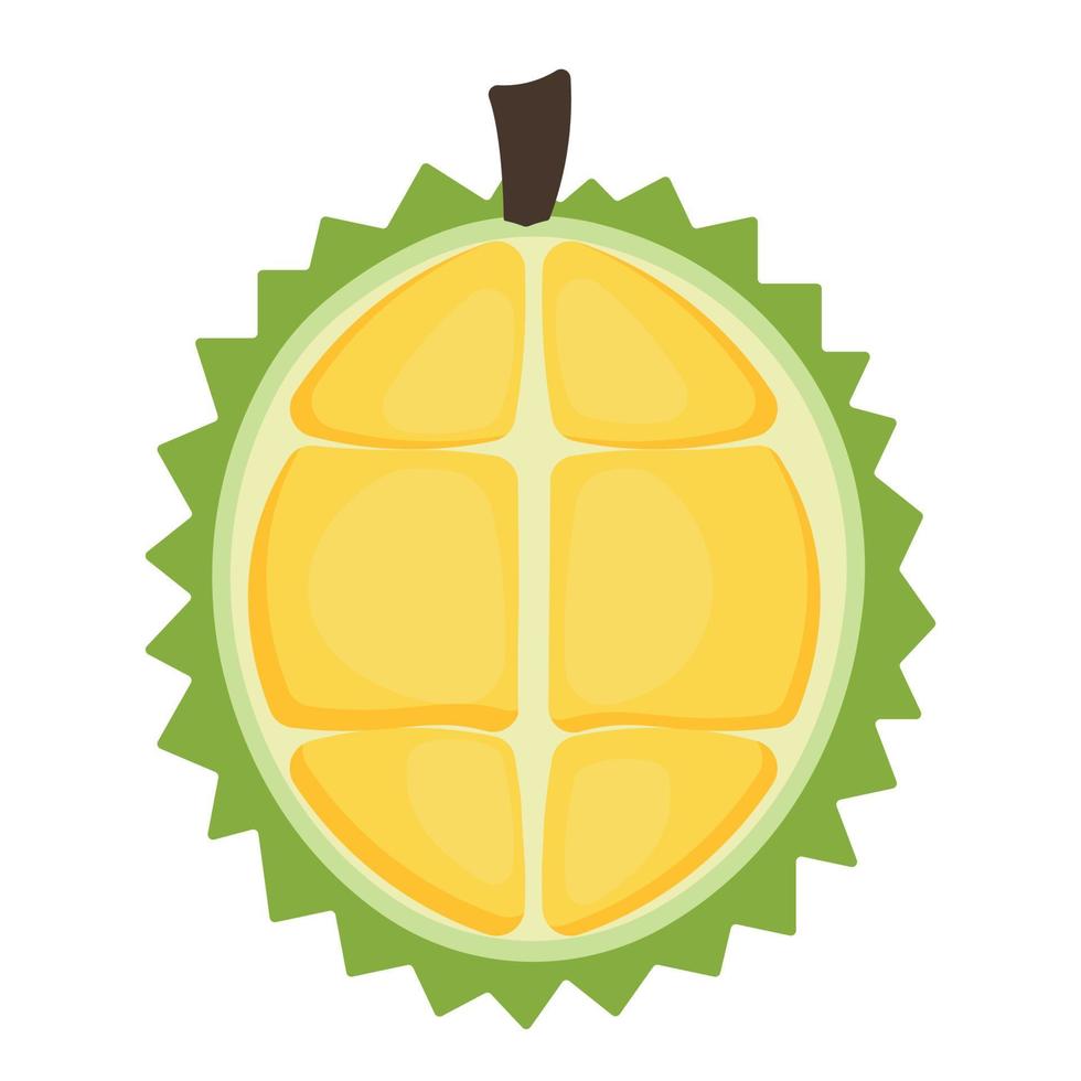 handgezeichnete reife durian animierte früchte symbol clipart vektorillustration vektor