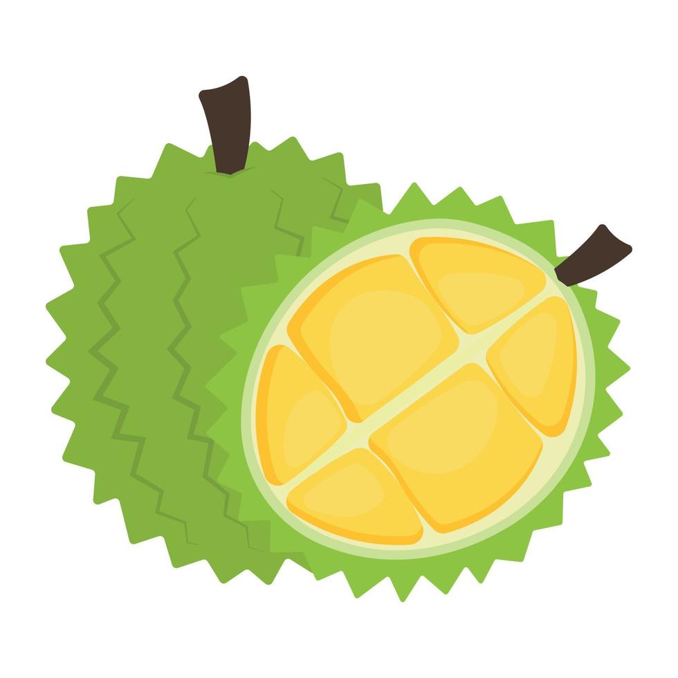 animiertes Durian-Frucht-Symbol-Clipart-Handzeichnungsvektor-Illustrationsbild vektor