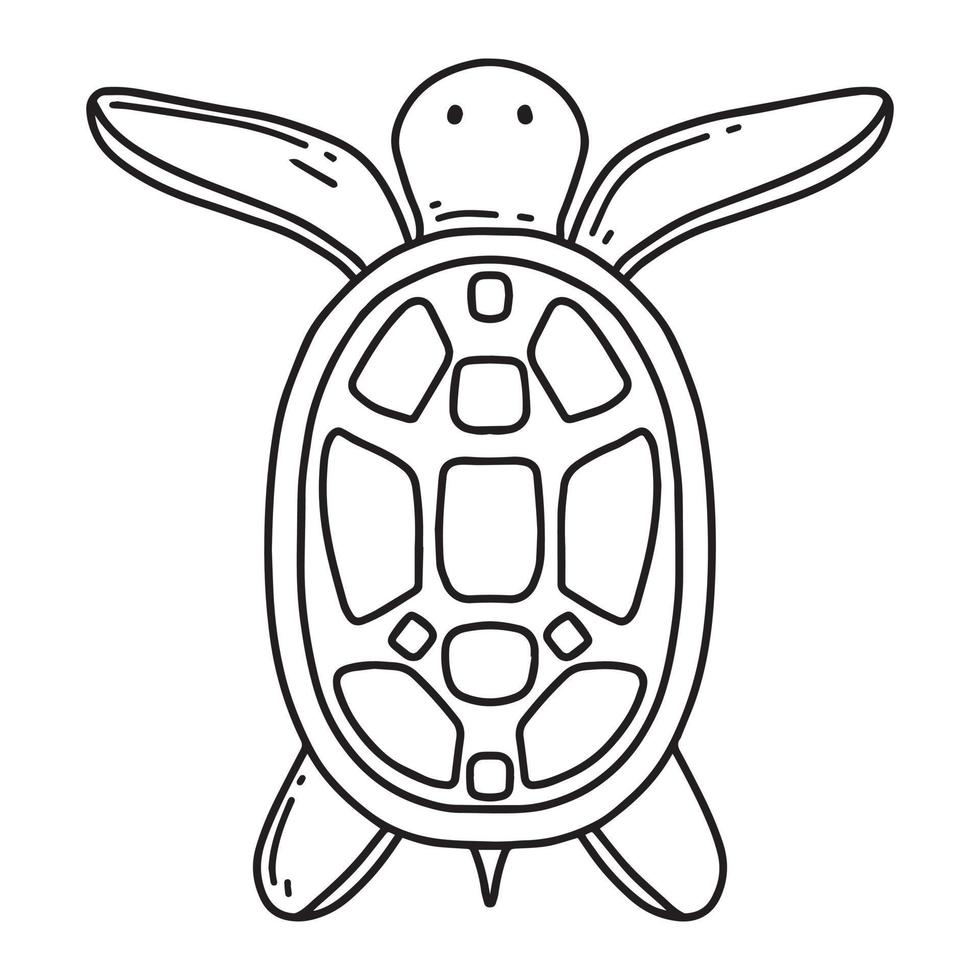 süße Schildkröte. Doodle-Stil. Vektor-Illustration. Schildkröte isoliert auf weißem Hintergrund. vektor