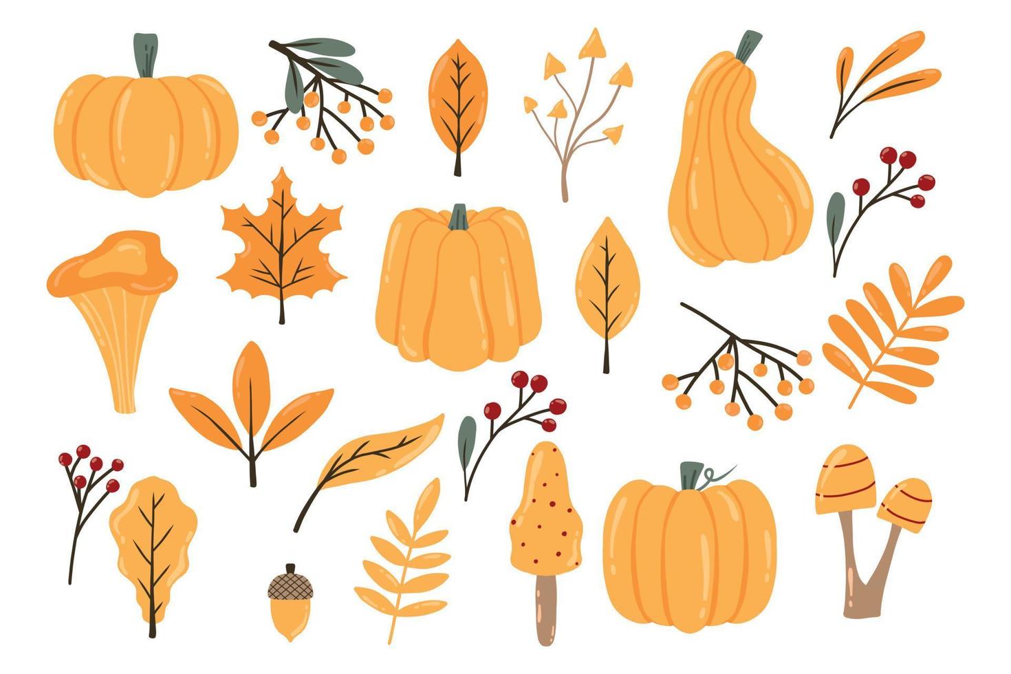 höst set. höstens pumpor, löv, bär och svamp. ritad stil. samling av höstväxter. vektor illustration.